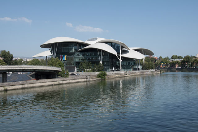 mushroom-building-capital-of-georgia