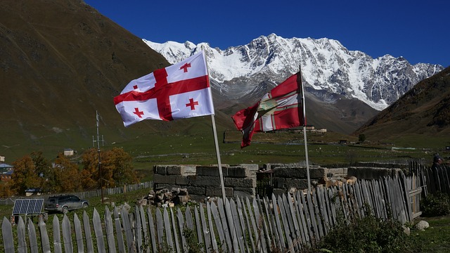 georgia flag