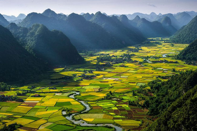 02ryv-retreat-with-visits-rice fields-vietnam