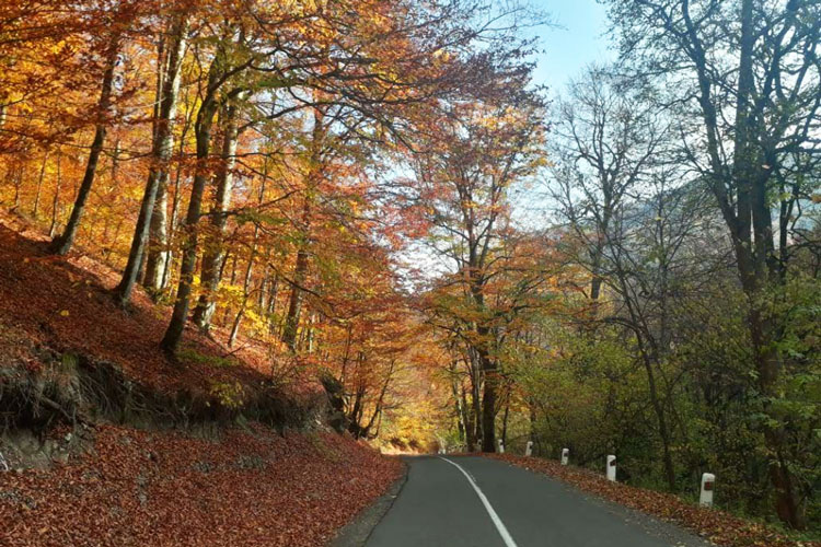 highway-dilijan-armenia