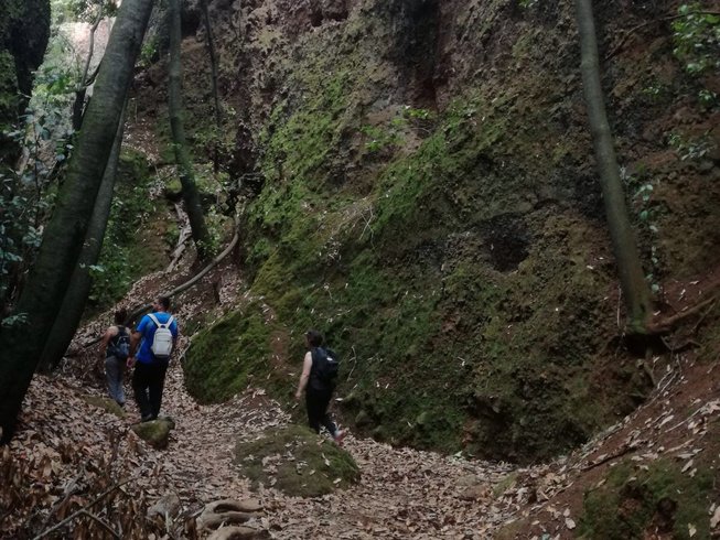 08 hiking in the canary islands