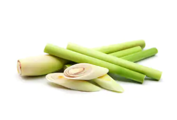 Hierba limón, citronela o lemongrass - comida tailandesa