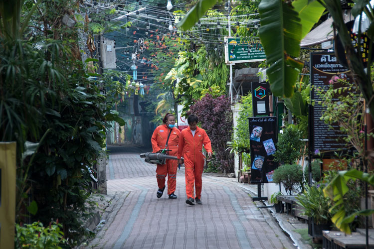 casco-antiguo-de-chiang-mai