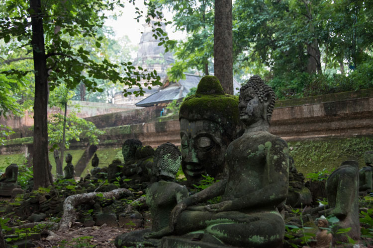 jardin-de-budas-templo-en-chiang-mai