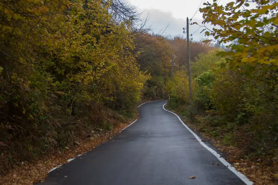 carretera-en-georgia-en-otoño