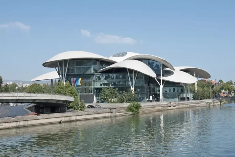 city-hall-en-tiflis-edificio-hongo