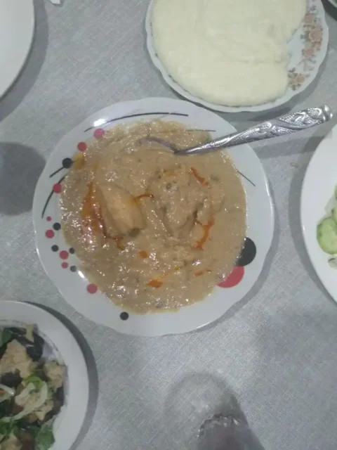 platos-georgia